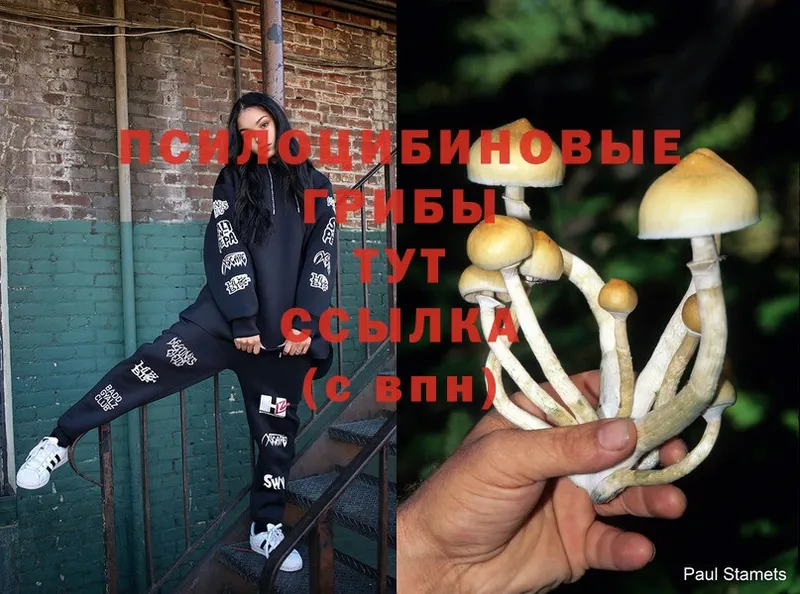 Псилоцибиновые грибы Magic Shrooms Карачев